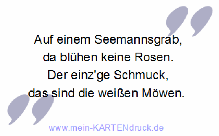 Trauerspruch zur Seebestattung: Auf einem Seemansgrab keine Rosen - Möwen