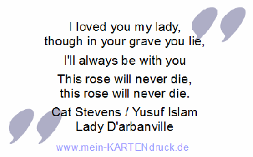 EN: This rose will never die - Cat Stevens