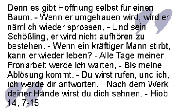 Bibelzitat aus Hiob: Wenn ein Mann stirbt, kann er wieder leben?